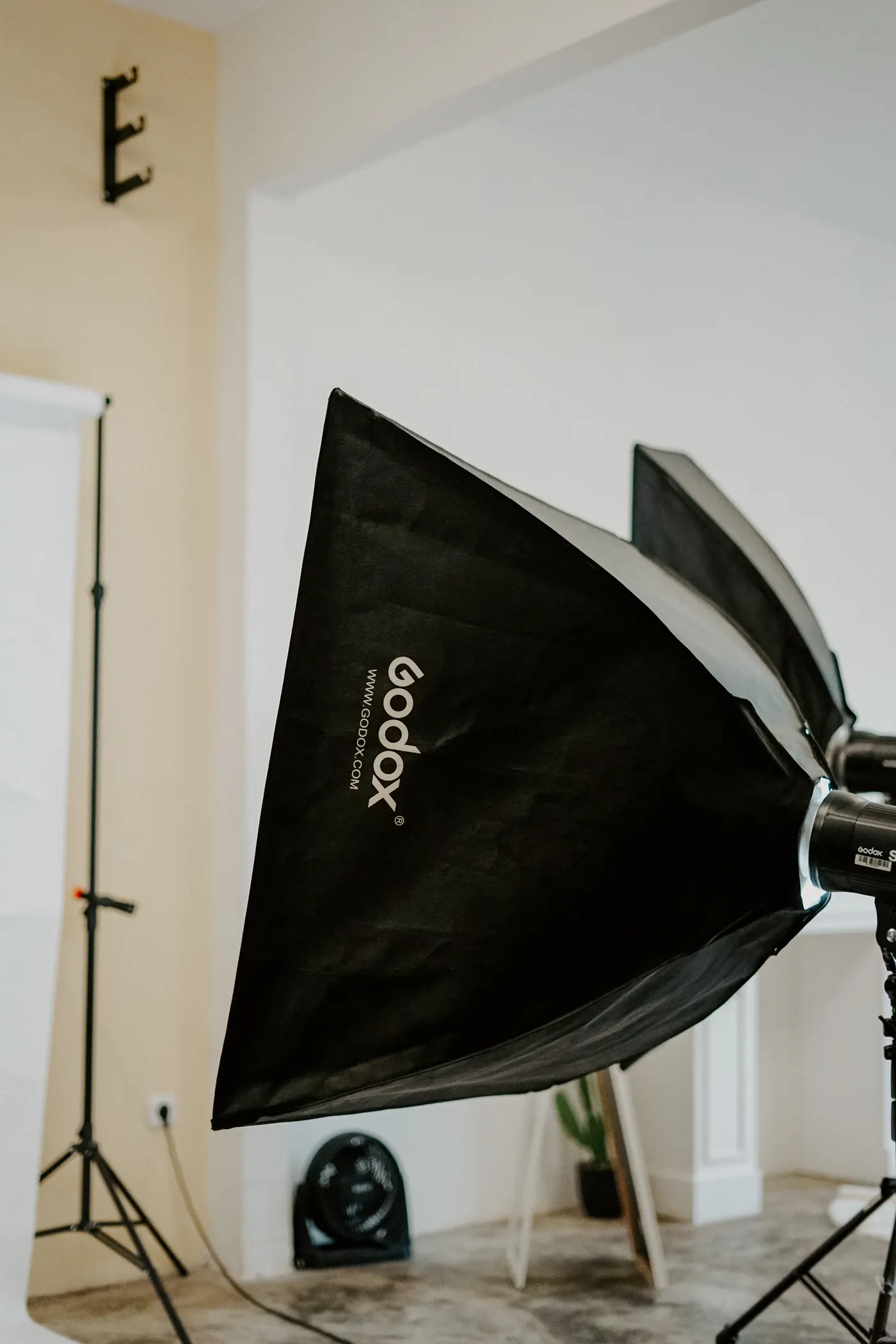 Softboxes, strobes, and tripods arranged in a photography studio.
